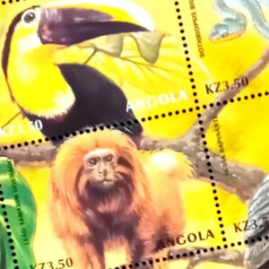 Angola Bloques